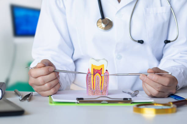 Best Emergency Root Canal Treatment in Arial, SC